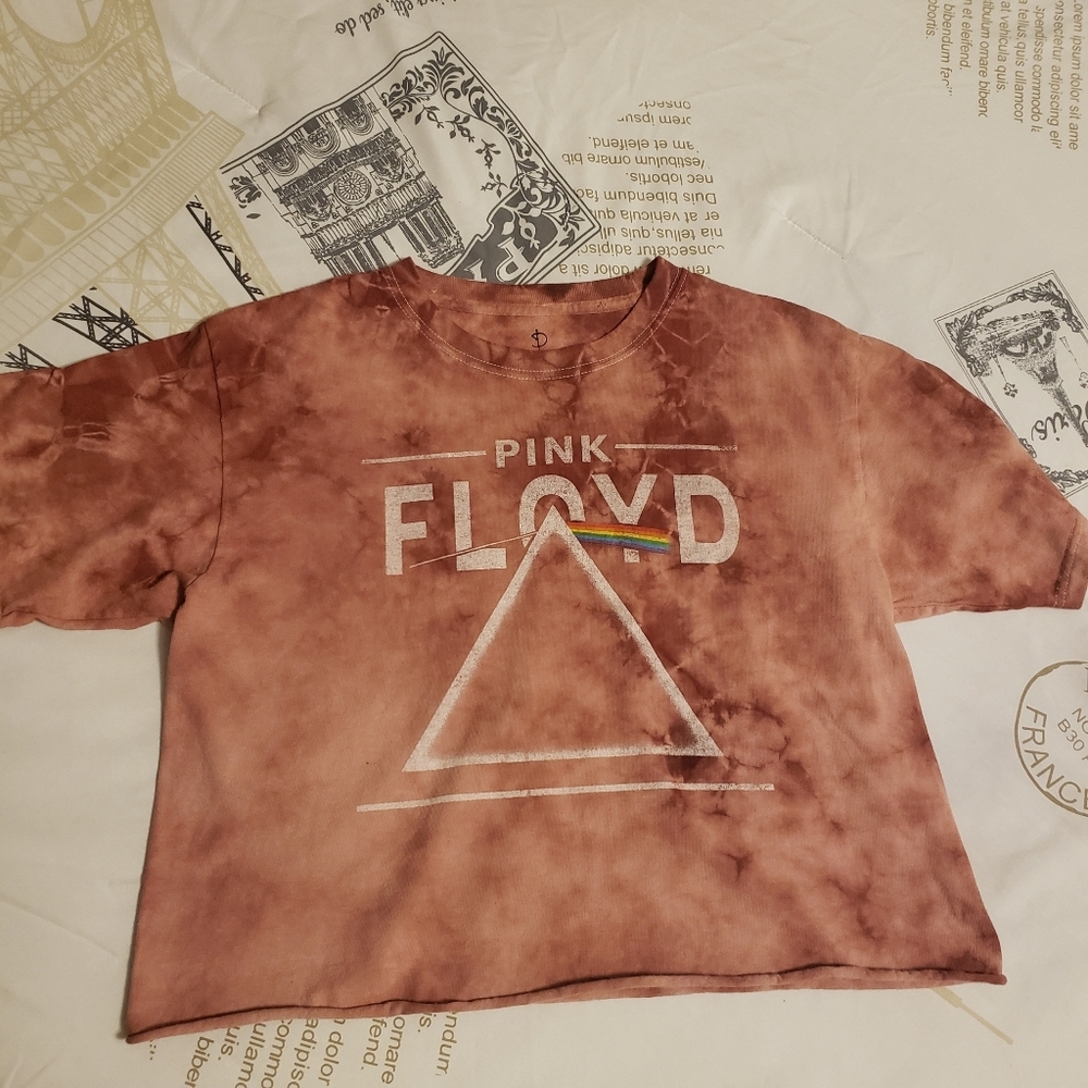 Pink Floyd Crop Top
